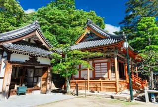 Traditional Japanese Buddhist Temple amidst Lush Greenery