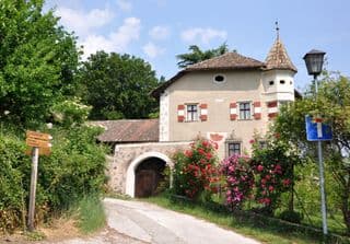 Traditional Italian Villa amidst Blooming Roses
