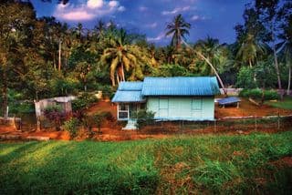Traditional House amidst Tropical Forest in Pulau Ubin, Singapore