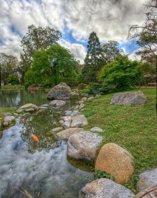 Tranquil Japanese Garden Pond