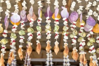 Colorful Seashell Garland