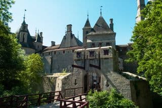 Medieval Castle Amidst Lush Forest