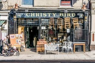 Antique Haven: Christy Bird's Curiosities