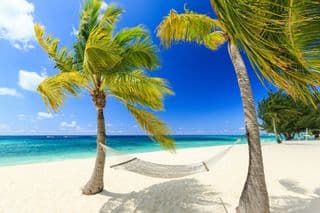 Hammock Between Palm Trees at Seven Mile Beach