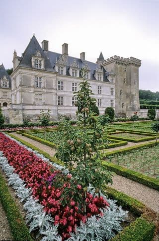 Formal Gardens of Château de Villandry, France