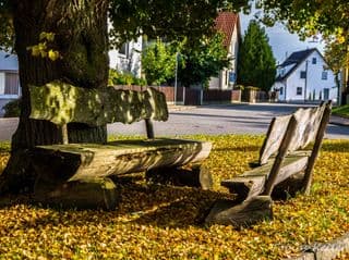 Weathered Benches Amidst Autumn Leaves in Huisheim, Bavaria, Germany