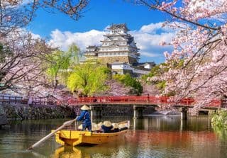 Cherry Blossoms at Himeji Castle in Spring