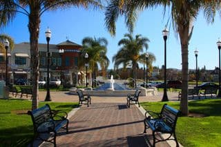 Palm-Shaded Park Benches in Evergreen Community