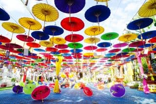 Vibrant Umbrella Installation in Chiang Mai