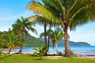 Tropical Paradise Beach