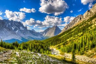 Summer in the Canadian Rockies