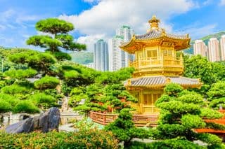 Golden Chinese Pavilion amidst Urban Greenery