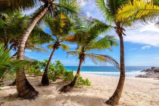 Anse Lazio Beach on Mahe Island, Seychelles