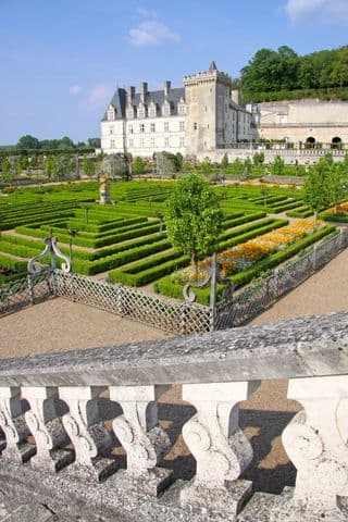 Formal Gardens at Château de Villandry
