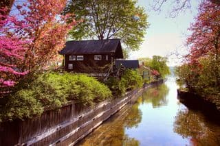 Springtime at Glenora Outlet