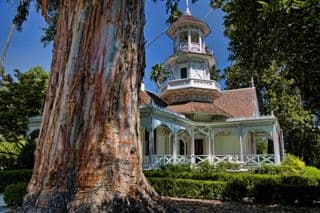 Elegant Queen Anne Cottage amidst Majestic Eucalyptus