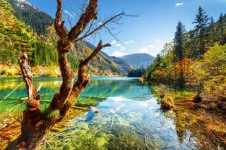 Crystal-clear Arrow Bamboo Lake in Autumn