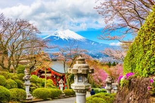 Springtime at Gotemba with Mount Fuji in the Background