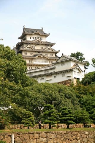Traditional Japanese Castle amidst Lush Greenery
