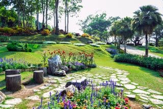 Exquisite Floral Wonders of Mae Fah Luang Garden