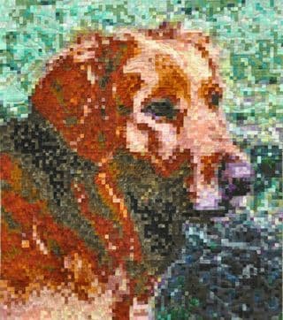 Pixelated Golden Retriever Quilt