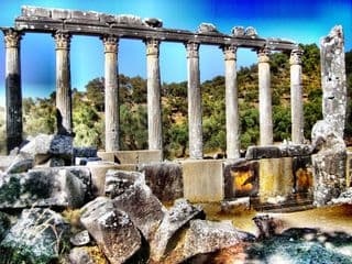 Ancient Corinthian Columns at the Temple of Zeus Euromos