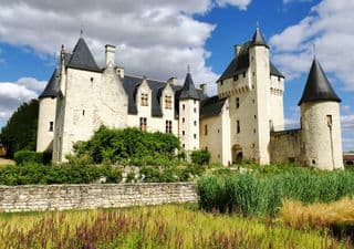 Medieval Castle amidst Blooming Meadows