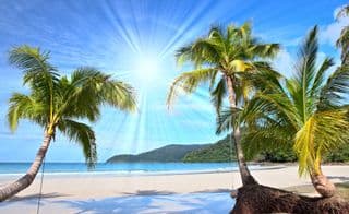 Radiant Tropical Paradise