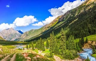 Summer in the Mountains