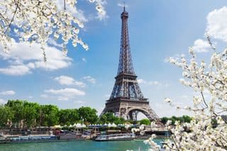 Springtime at the Eiffel Tower