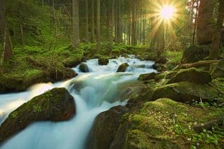 Sunlight Cascading Through Forest Creek