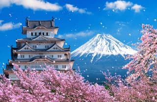 Mount Fuji and Cherry Blossoms in Spring