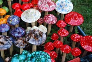 Vibrant Assortment of Ceramic Mushrooms