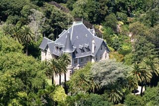 Emerald Castle amidst the Palm Grove