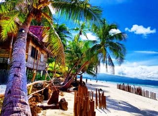 Boracay's White-Sand Beach Under Coconut Palms