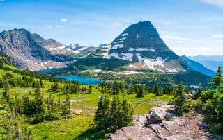 Goats Resting at Logan Pass Trail, Glacier National Park