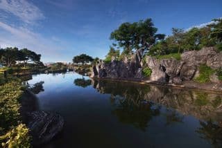 Tranquil Pondscape in the Morning Light