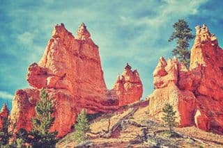 Bryce Canyon's Towering Hoodoos