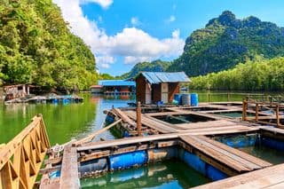 Langkawi Floating Fish Farm amidst Tropical Lushness