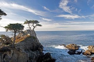 Monterey's Lone Cypress stands resilient against the Pacific