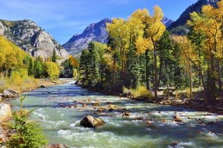 Golden Autumn Along the Rocky Mountain River