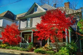 Autumnal Charm in North Downtown Charlottesville VA