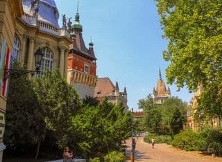 Vajdahunyad Castle in Budapest Under Summer Sunlight