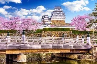 Springtime at Himeji Castle