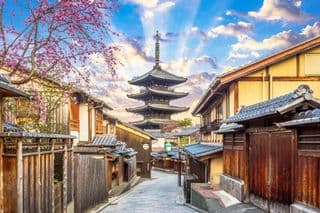 Cherry Blossoms Overlooking the historic Yasaka Pagoda