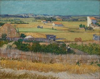 Harvest Landscape Near Arles