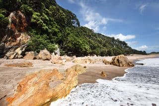 Untamed New Zealand Beach