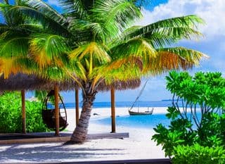 Coconut Palm Gazebo at Samui Island
