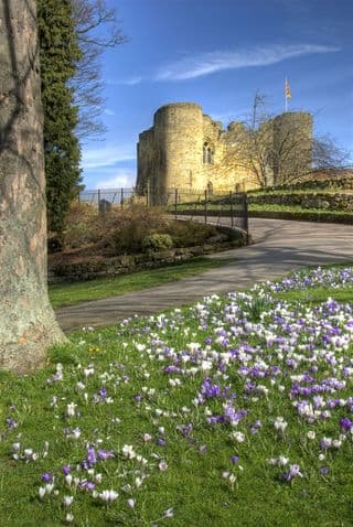 Springtime at Tonbridge Castle