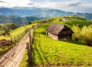 Springtime in the Carpathian Mountains